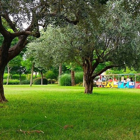 Come have a walk in byblos wagon park...