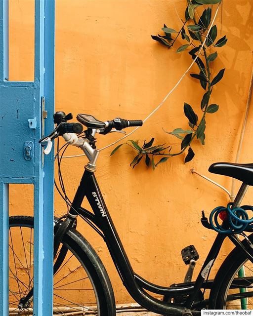 complementary...... bicycle  beirut  darbistroandbooks ... (Dar Bistro & Books)