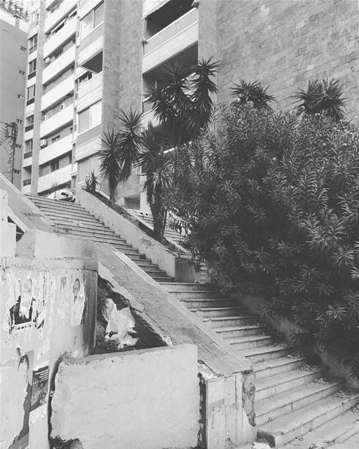 Concrete & plants.  beirut  lebanon  achrafieh  architecture  contrast ... (Achrafieh, Lebanon)