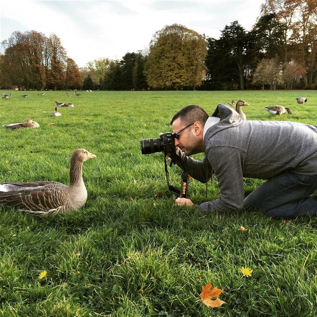 Connaître et apprivoiser ses produits 🐥📸 livelovelebanon ... (Parc De La Tete D'or)