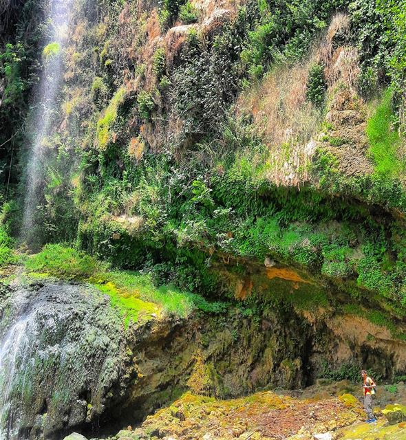Connecting to Mother nature🍃(📸:@yarawfares )