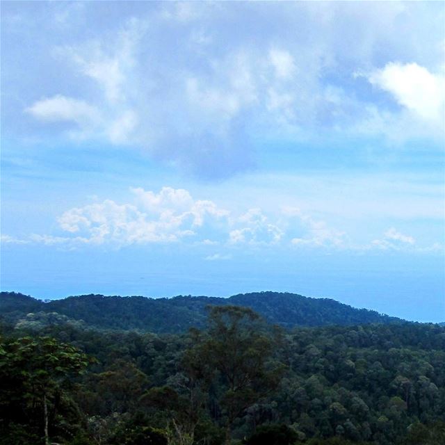 Continuation of the view instatraveling  instagood  instapassport ... (Penang Hill)