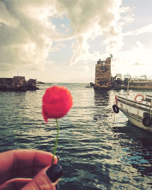 Coquelicot 🌸 ⚪⚪⚪⚪⚪⚪⚪⚪ jbeil  byblos  port  sea  mediterranean  castle ... (Jbeil-Byblos)