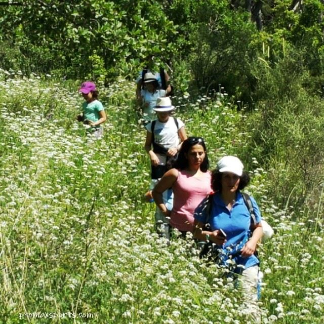  corporate  events  team  trail  wild  adventure  walk  nature  family ...