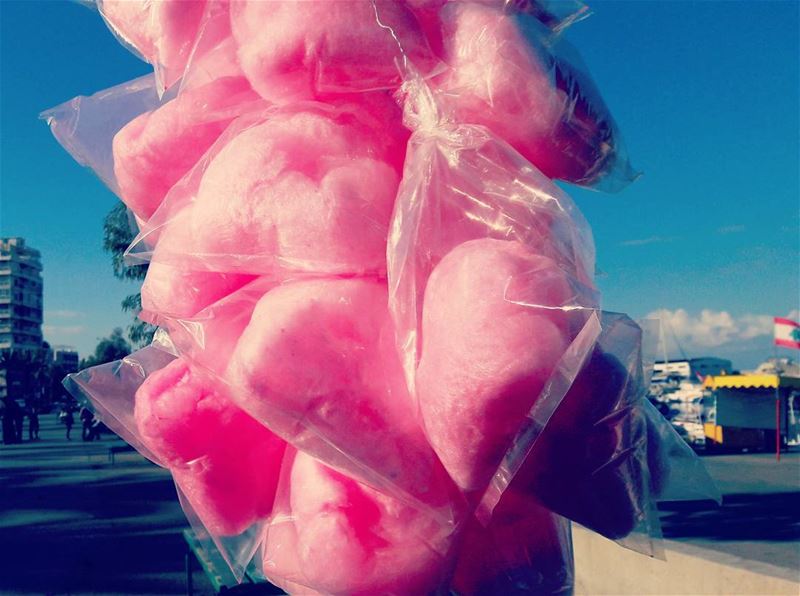 Cotton candy anyone? طرابلس  لبنان TripoliLB  Tripoli  ElMina ... (طرابلس - الميناء)