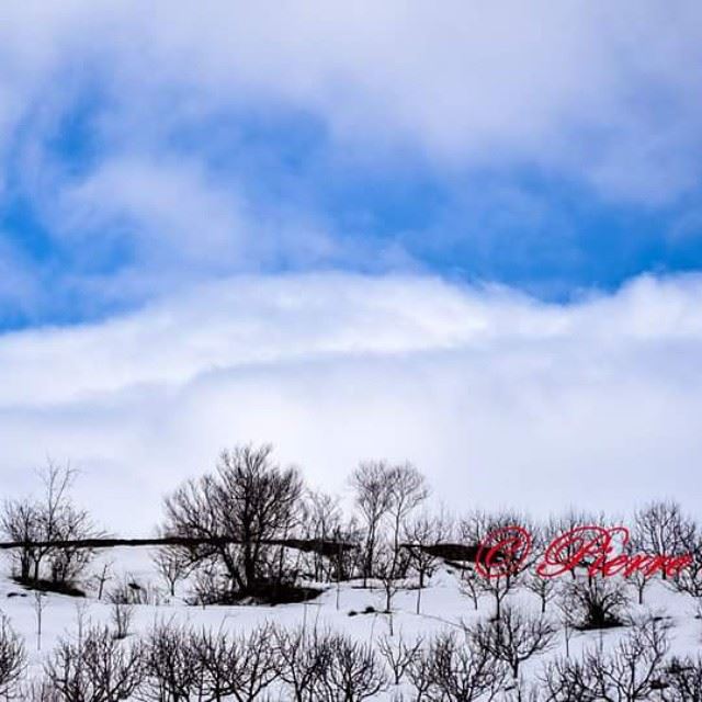  cotton  CLOUDS  nikond5300  nikonphotography  nikon_photography_  d5300 ...