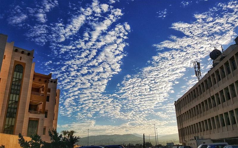 Cottons in the sky  lebanoninapicture  ptk_lebanon  livelovebeirut ...