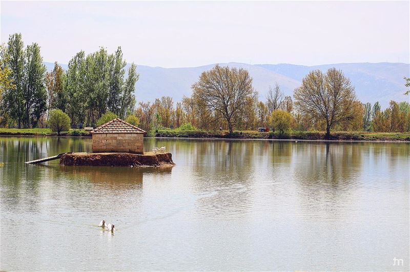 -Couldn't ask for more-... livelovebekaa  view  bekaa  livelovezahleh ... (Taanayel- Bekaa)