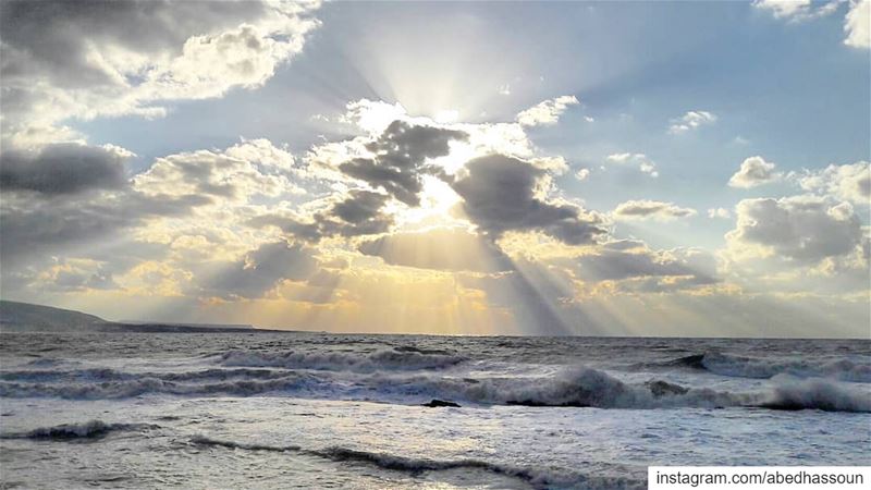 Couldn't resist capturing this beauty while walking by the sea 🌊....... (Tripoli, Lebanon)