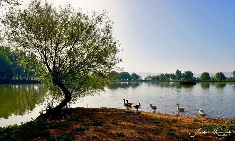 Count your blessings not your worries...  goodmorning goodday newday... (Taanayel- Bekaa)