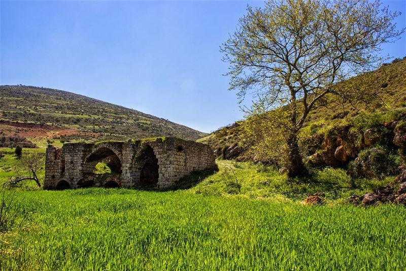 Courage doesn’t always roar Sometimes courage is the quiet voice At the... (Arabsalim, Lebanon)