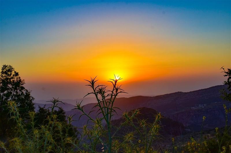 Courage doesn’t always roar, sometimes it’s the quiet voice at the end of... (Bâne, Liban-Nord, Lebanon)