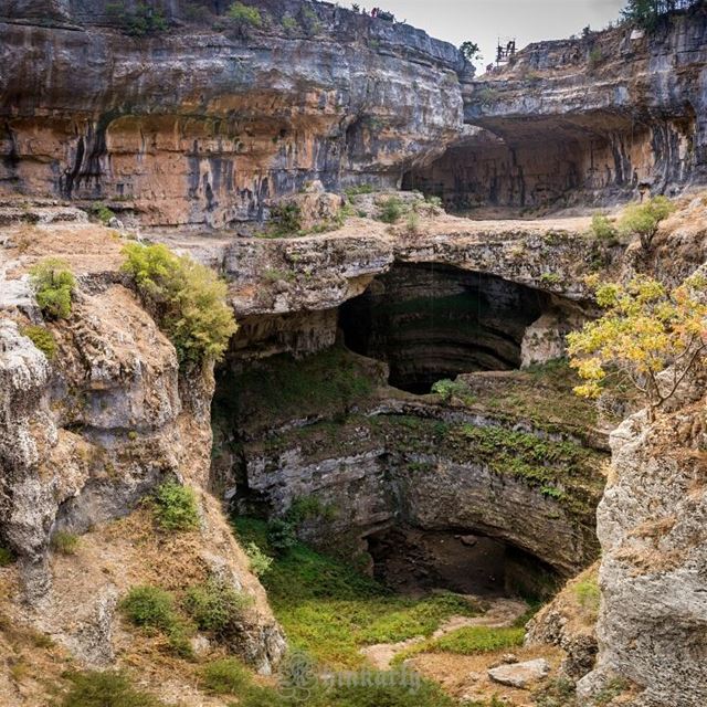 Courage is the power of the mind to overcome fear. Martin Luther King... (Tannurin At Tahta, Liban-Nord, Lebanon)