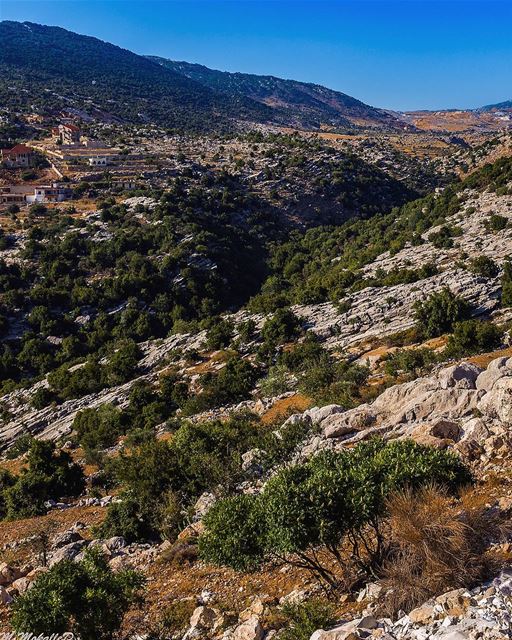 Courage is what it takes to stand up and speak; courage is also what it... (Mlîkh, Al Janub, Lebanon)