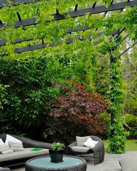 Covered in Green. SomeInspiration PergolaKitsLebanon. Pergola  Steel ...