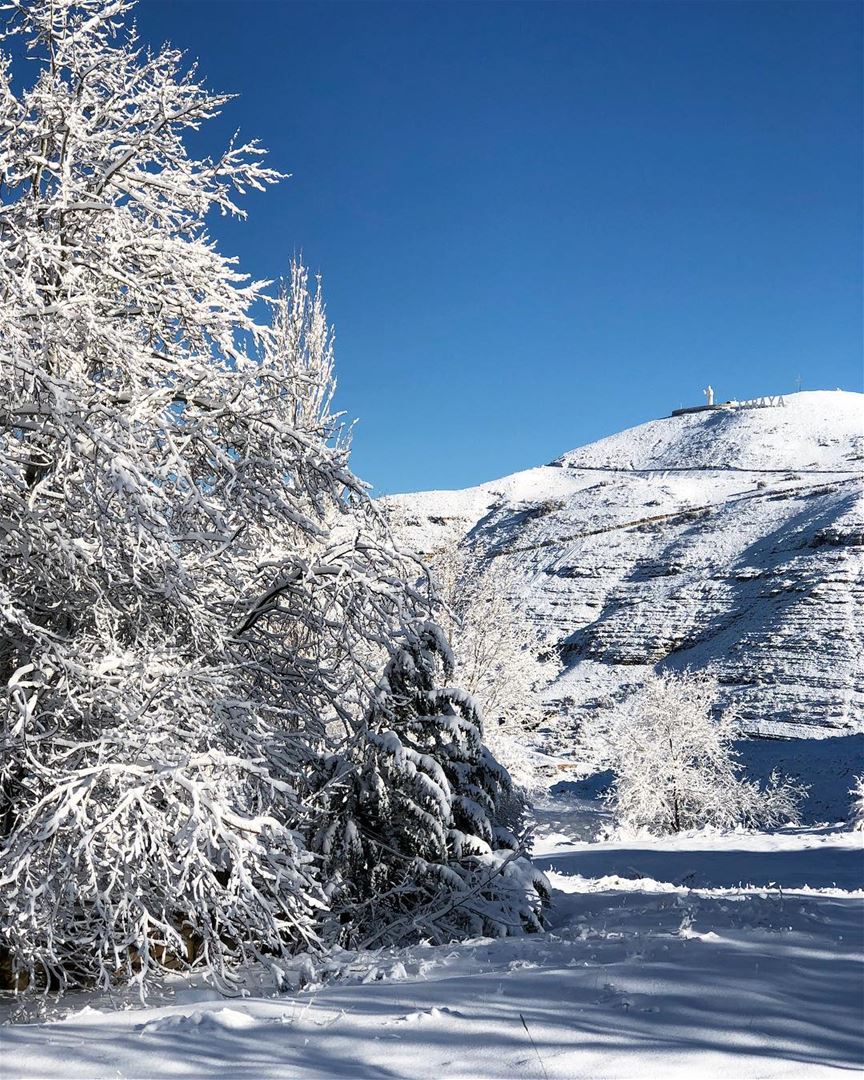 Coz we can't get enough☃️❄️🌨 snow is back! (Faraya, Mont-Liban, Lebanon)
