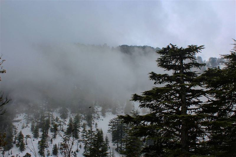 Crazy weather  lebanon🇱🇧  picoftheday  photography  canon ...