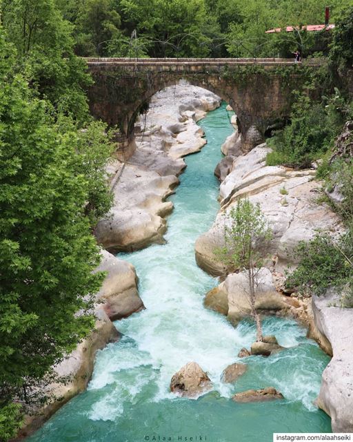 Create Your Own Flow 🏞️... Hseiki  Lebanon  beirut  nature ... (Jisr El Kadi)