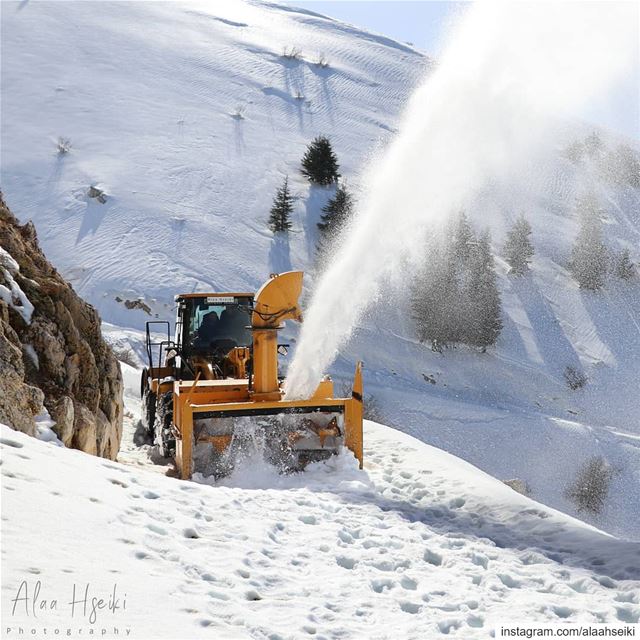 Create Your Own Path 🚜... Hseiki  Lebanon  livelovebeirut ... (Maaser El Shouf Cedar Reserve محمية ارز معاصر الشوف)