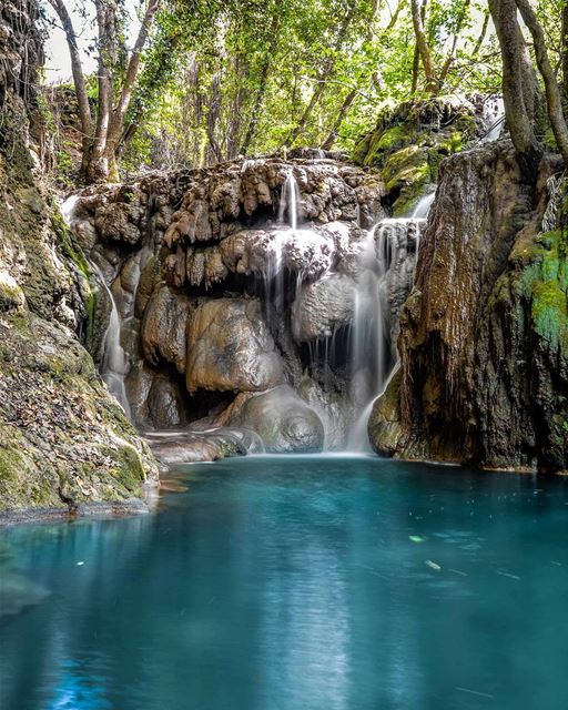 Credit to  @alexander_photography97 Jahlieh waterfalls, Shuf, Lebanon Who...