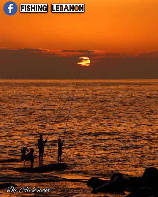Credit to Ali Daher  fishinglebanon  tripolilb  beirut  byblos  batroun ... (Beirut, Lebanon)