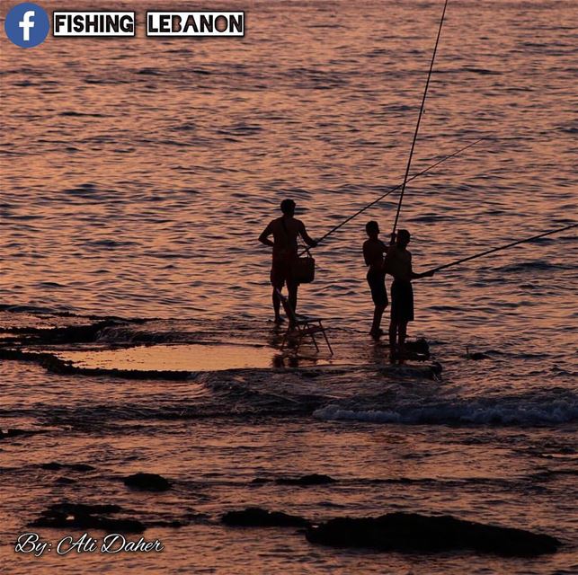Credit to Ali Daher  fishinglebanon  tripolilb  beirut  byblos  batroun ... (Tyre, Lebanon)