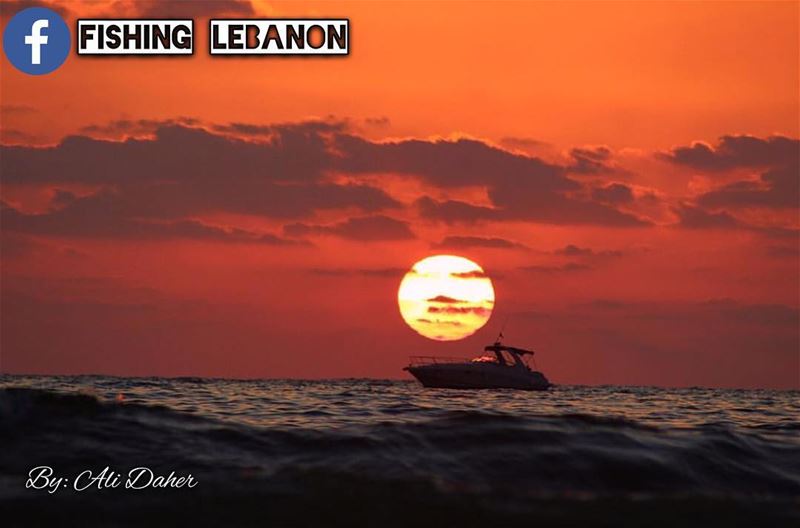 Credit to Ali Daher  fishinglebanon  tripolilb  beirut  byblos  batroun ... (Beirut, Lebanon)