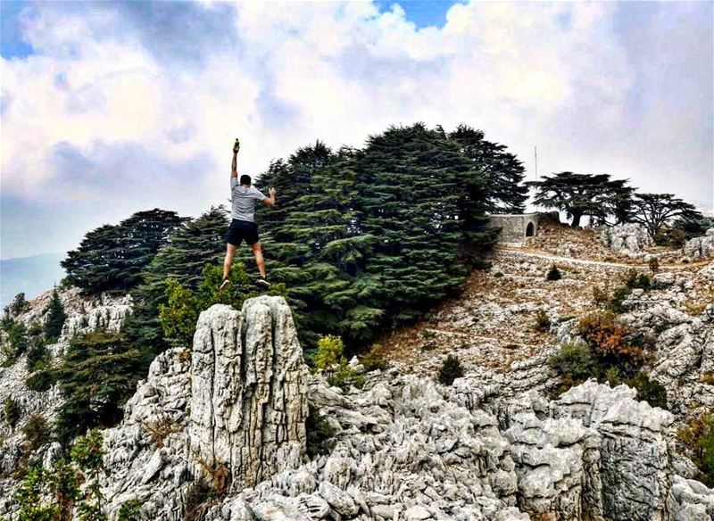 Credit to @chriskabalan -  The Cedars of Jaj (Jurd Jbeil) are One of the...