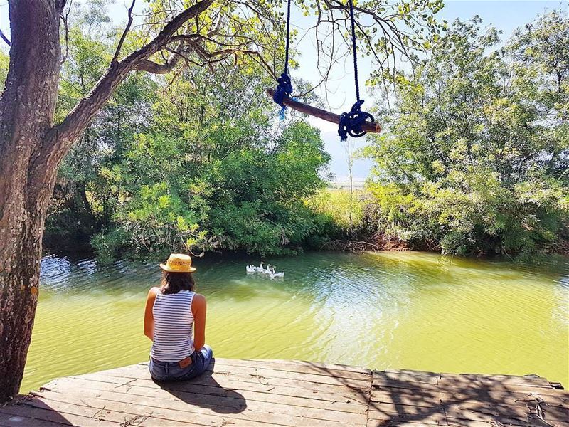 Credit to @had.solo -  Lady of the lake. lebanon  bekaa  lake  aana ...