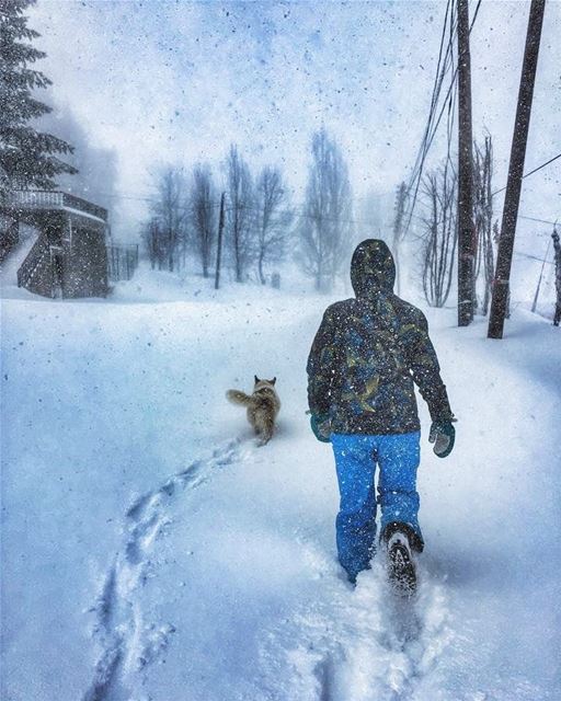 Credit to @jenskirahme exploring The Cedars with Shy under the storm 🌨🌬🌪