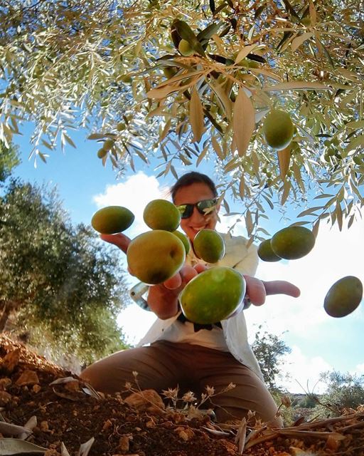 Credit to @linaaykay -  October harvest 🌱 .................