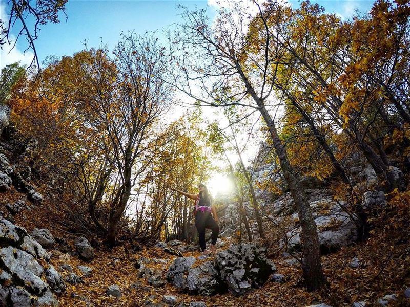 Credit to @marc_cherfan_369)  Autumn  Hike  Forest  JabalMoussa  Lebanon...