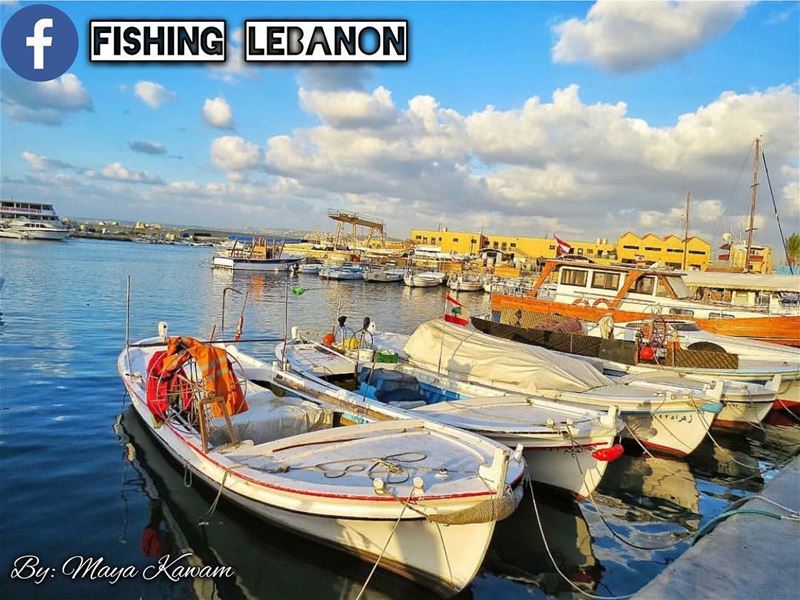 Credit to Maya Kawam - Tyre  fishinglebanon  tripolilb  beirut  byblos ... (Tyre, Lebanon)
