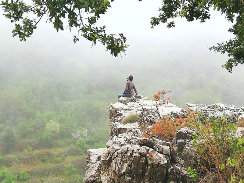 Credit to @mhddraihi -  My profession is to always find God in nature......