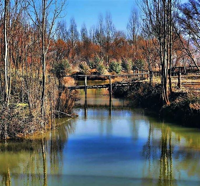 Credit to @salimabouzeid -  Winter is an etching, Spring a watercolor,...