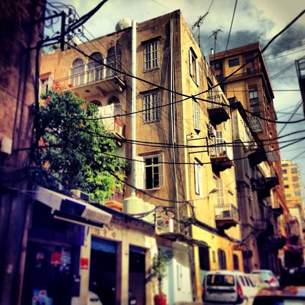 Crisscross  Beirut  trees  nature  urban  architecture  citylife ...