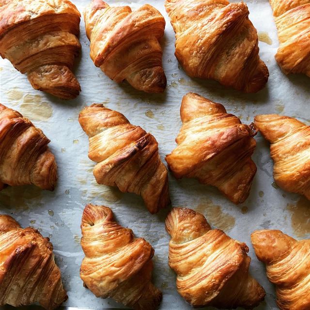 Croissants tout chauds 🥐😋 livelovefood  livelovebeirut  beirut  zahle ...