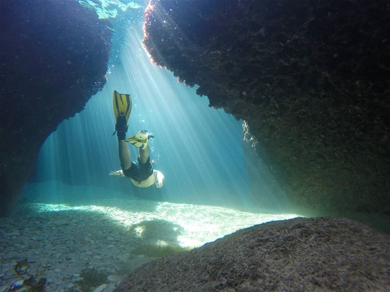 Crystal clear reefs 🇱🇧🇱🇧.... Lebanon  batroun  kfarabida ...