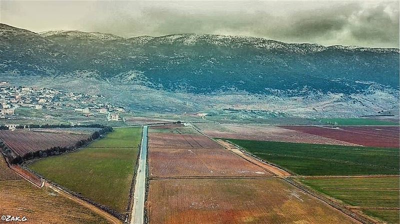 Cupical workplace/ farming taking over the urban life  workplace  farming ... (West Bekaa)