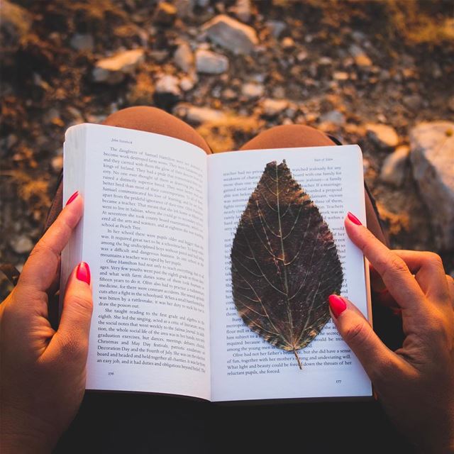 Current Mood 😌 reading in nature 📖🍂 while actually I am at the office 😅