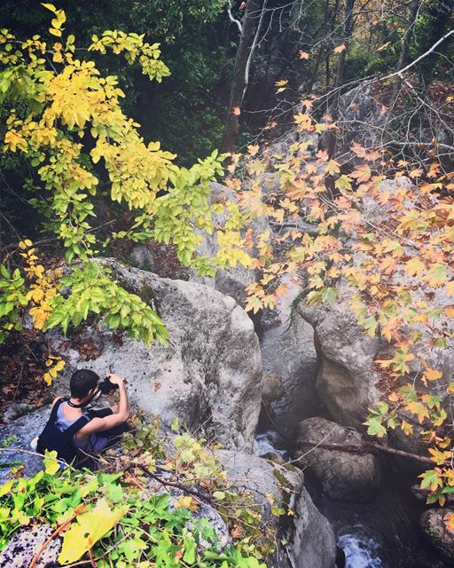 Curveball 🍁🍂 kadishavalley  lebanon  nature  autumn  leafs  colors ... (Kadisha Valley)