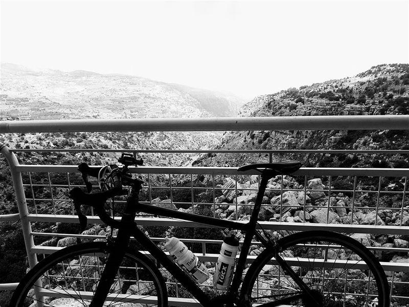  cyclinglife  cycling  cyclingshots🚴   cyclingday  cycling   bestcompany ... (Lebanon)