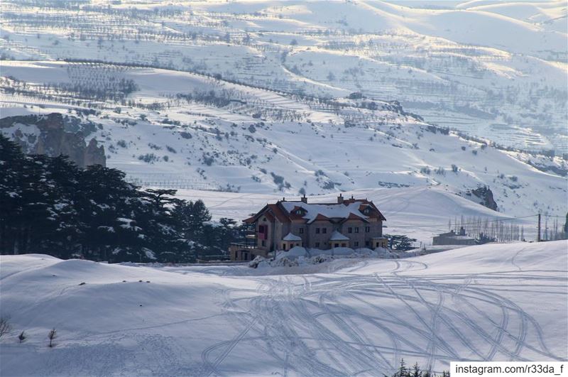 D r e a m  H o u s e 🏚❄️  SweetEscape  WinterWonderland  WhiteChristmas ... (The Cedars of Lebanon)