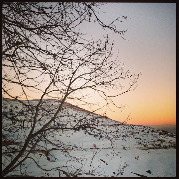 📷 Dahr el Baydar, Lebanon - 15/1/2013 lebanon  dahrelbaydar  snow  sun ...