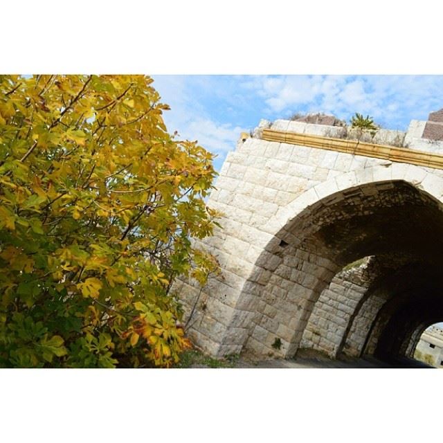  damour  lebanon  livelovebeirut  lebanese_nature  lebanese  beiruting ...
