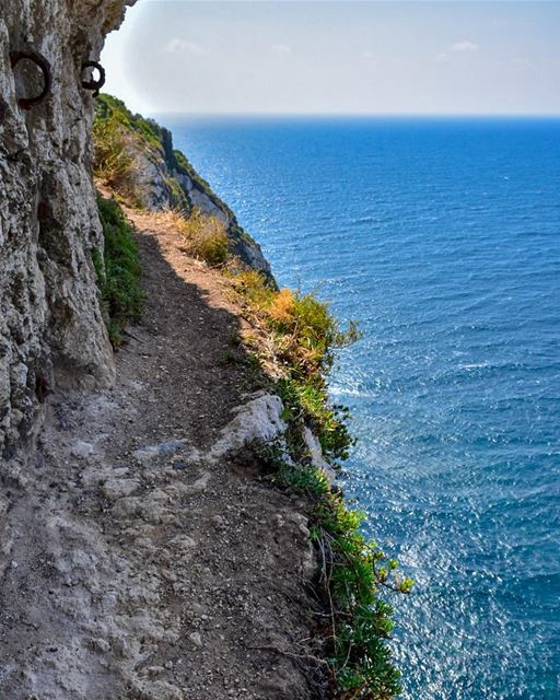 Dare to live......📍Hamate, Northern Lebanon 🇱🇧 ... hamate ... (Hamâte, Liban-Nord, Lebanon)