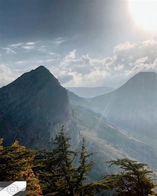 DARK PARADISE. cedars  moutains  nature  livelovelebanon  hiking ...