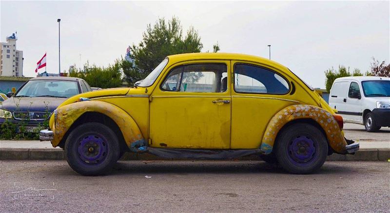 Das auto ❤❤❤ (Borj Hammoud, Mont-Liban, Lebanon)