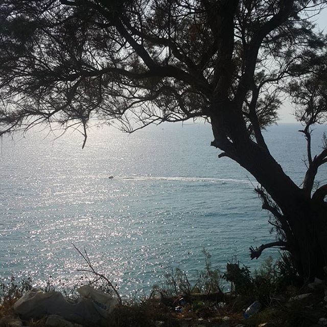 Das Meer naturelovers  livelovelebanon  livelovejbeil  sea ...