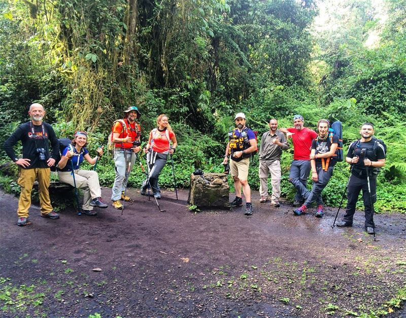 Day 1 kili climb 11km in an exotic jungle 1200m ascent !!!  kilimanjaro ...